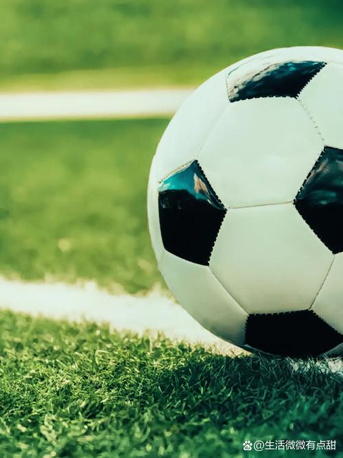 下载应用界面展示