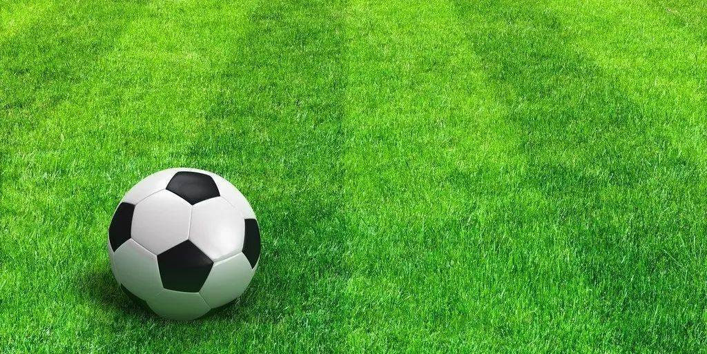 数据分析师研究足球赛事